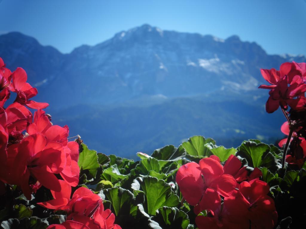 Chalet Frapes San Martino in Badia Cameră foto